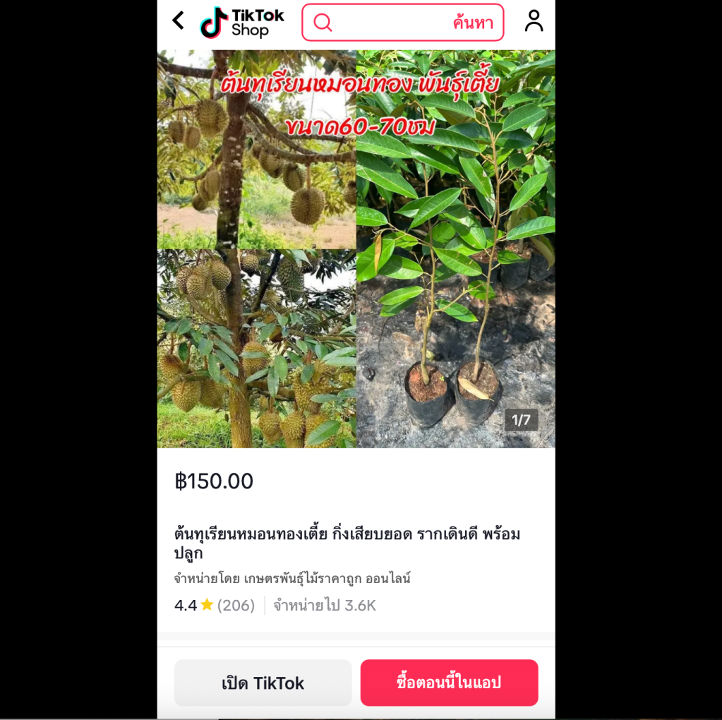 ส่งตรงถึงหน้าบ้าน พร้อมคำแนะนำการปลูกเบื้องต้นสำหรับมือใหม่