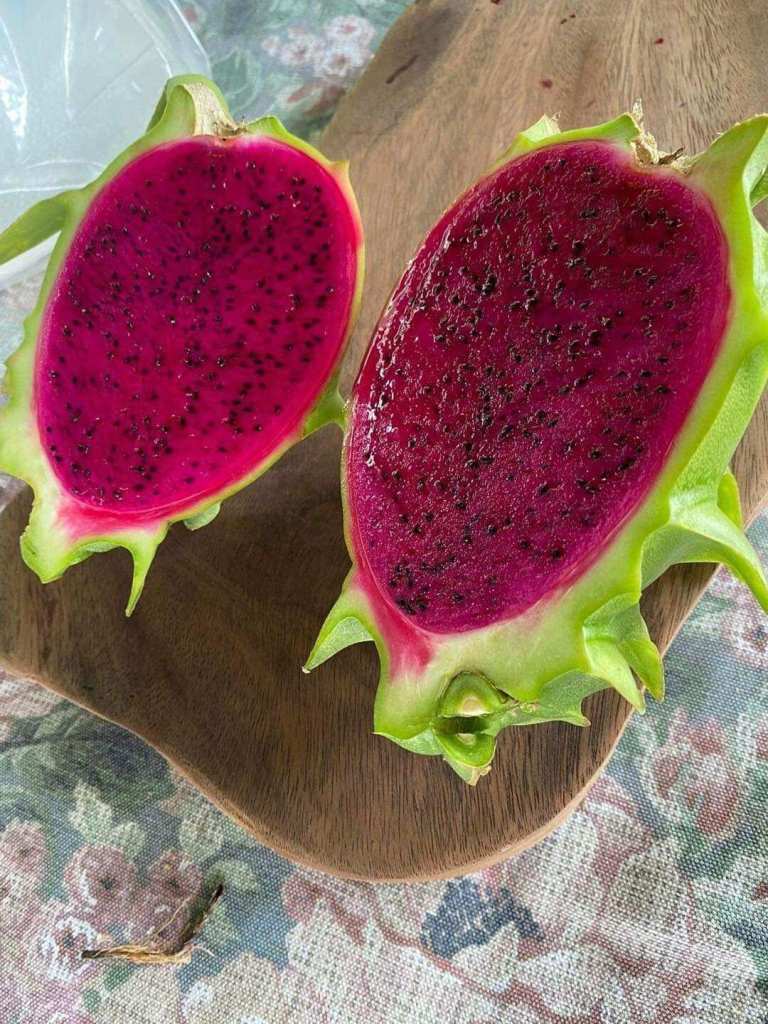 ผลไม้ที่ปลูกในบ้านได้ : แก้วมังกร