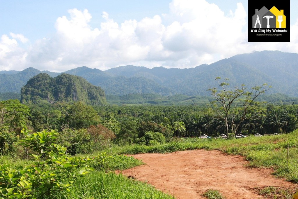 เช็คราคาประเมินที่ดิน 2568 จากเลขที่โฉนด มีขั้นตอนอย่างไร?