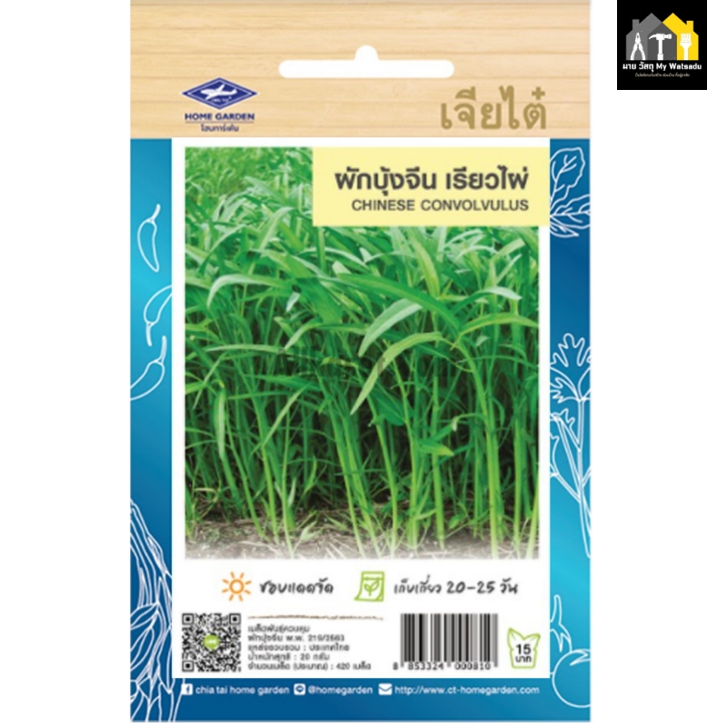 ผักสวนครัว ปลูกอะไรดี 2026